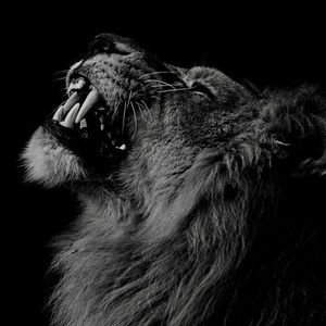 Meet your Posher, Marco